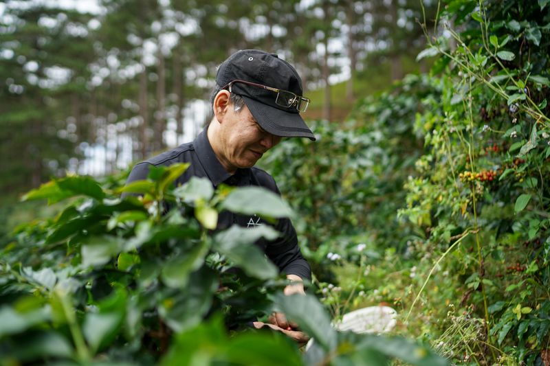 Estados cafeteros de Venezuela: Táchira, Mérida y Trujillo