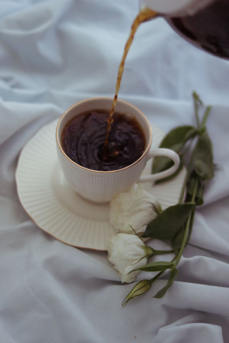 Café de especialidad en Venezuela 2026: lo que viene